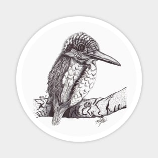 Kingfisher Magnet